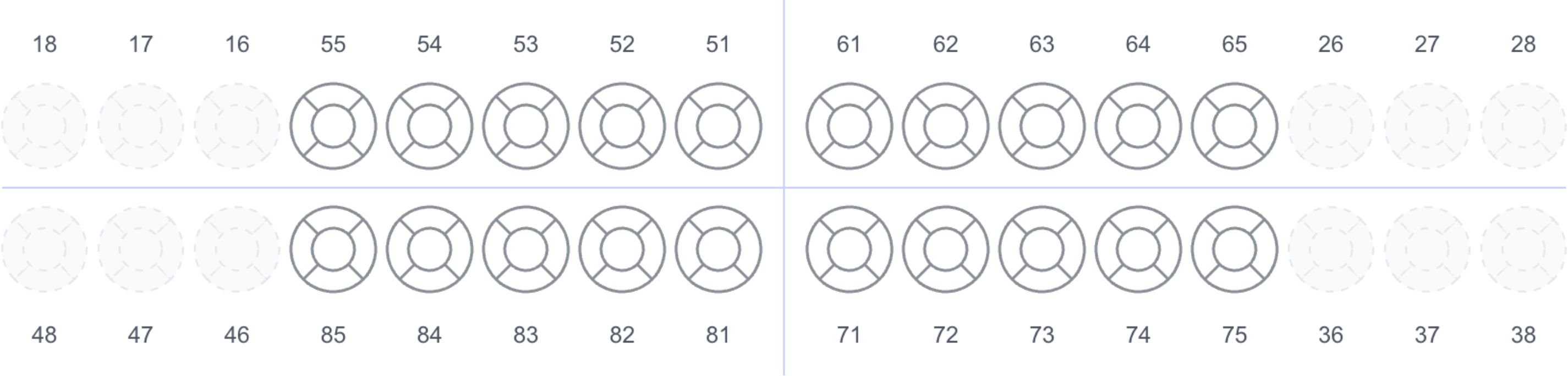 dentition - primary teeth